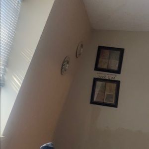 Meet your Posher, Pacha